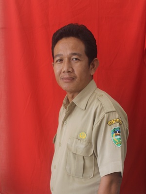 ARDISON