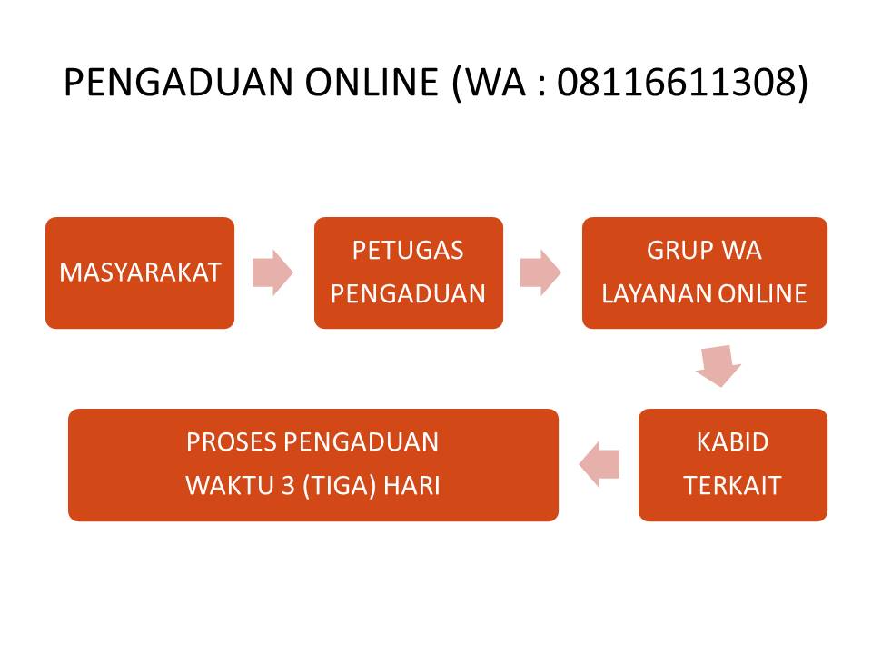 Alur Pengaduan Online
